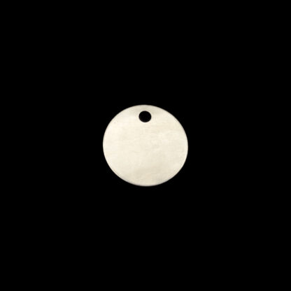 TAG SKILT AISI 316 Ø30 x T1mm - Ø4